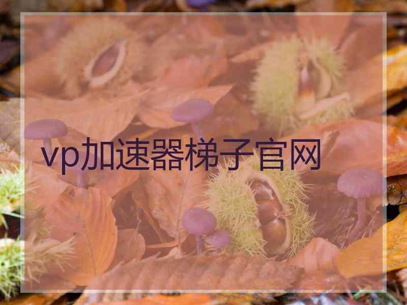 vp加速器梯子官网